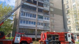 Во Владимире из горящей 9-этажки спасли 14 человек и эвакуировали 20