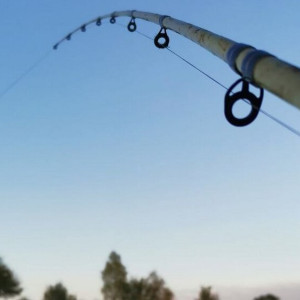 Во Владимирской области начали действовать новые правила рыбалки