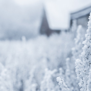 Прогноз погоды во Владимирской области на 26 декабря