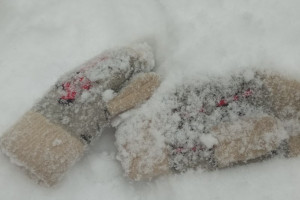 Прогноз погоды во Владимирской области на 5 марта 2026 года