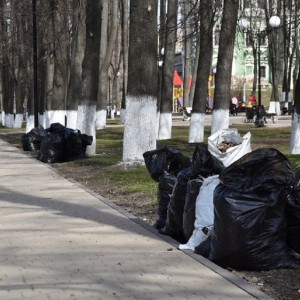 С улиц Владимира за неделю вывезли 130 тонн мусора