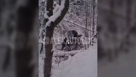 Во Владимирской области машина улетела в кювет