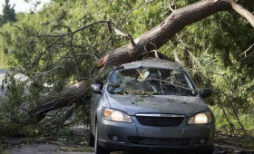 У «ДСУ-3» отсудили 157 тыс. рублей за падение дерева на машину во Владимирской области