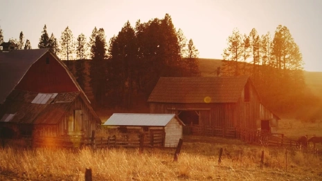 Во Владимирской области официально назвали самую красивую деревню