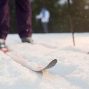 Во Владимирской области в последний день недели будет метель
