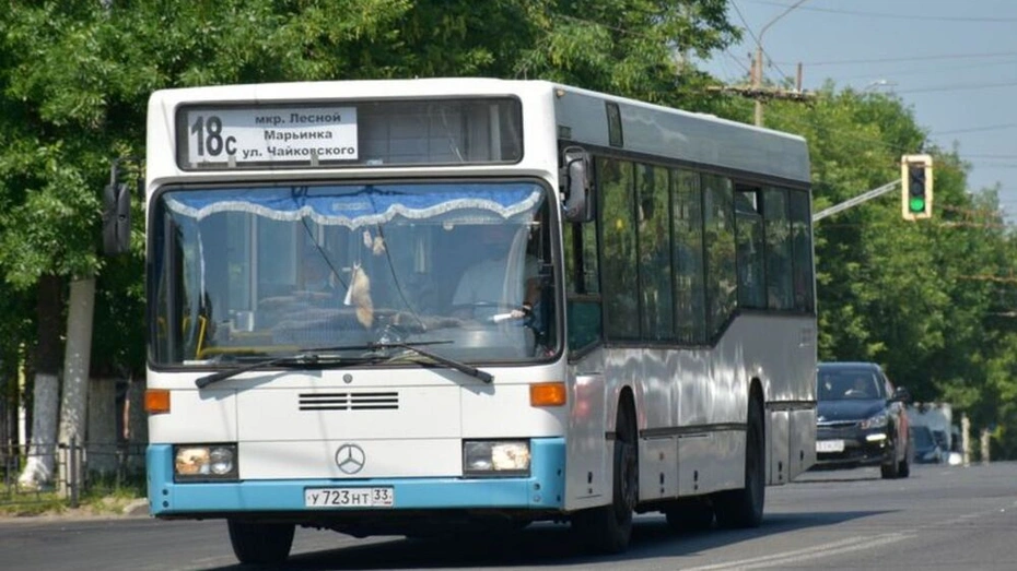 Раз автобус. Автобусы Владимир. Парк автобусов. Автобусы типа городской. Автобус большой.