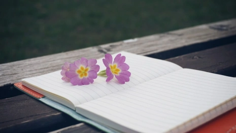 Владимирские дворы благоустроят на 1,5 млрд рублей