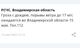 МЧС предупредило о грозе с дождем и сильном ветре во Владимирской области