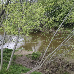 Утонувшему в Колокше под Собинкой рыбаку было 66 лет