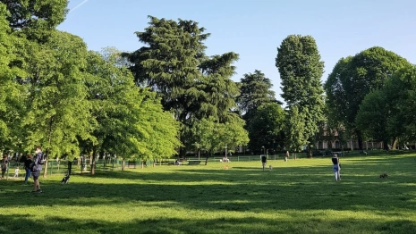 Жителям Владимира предложили выбрать территории для благоустройства в 2024 году