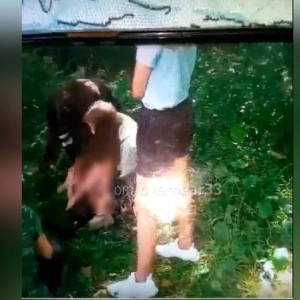 Во Владимирской области в Сети выложили ролик с избиением 11-летней девочки  