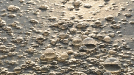 Во Владимирской области сточные воды растеклись по деревенским участкам 