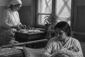В День Победы в 1945 году во Владимирской области родились 55 детей