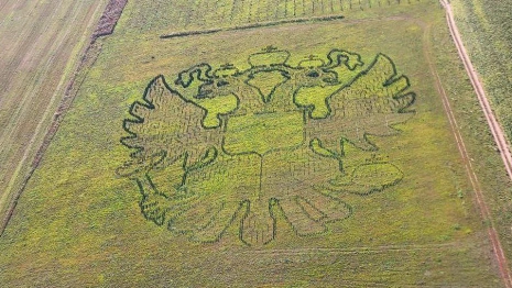 Во Владимирской области заметили геоглиф в виде герба России