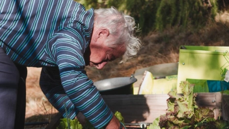 Во Владимирской области к заболевшим дачникам предложили направлять московских врачей