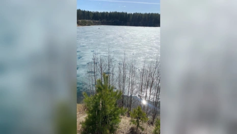 В Коврове спасатели возмутились нахождением рыбака на тонком льду