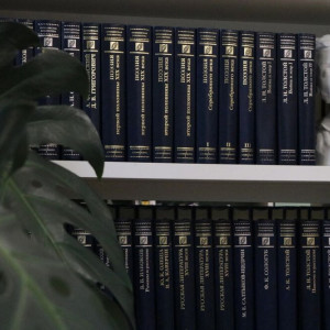 «Библионочь» во Владимире пройдет 20 апреля