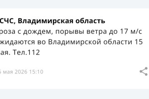 МЧС предупредило о грозе с дождем и сильном ветре во Владимирской области