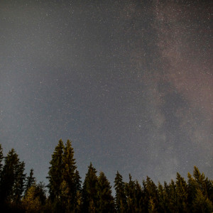 Жители Владимирской области увидят звездопад Лириды