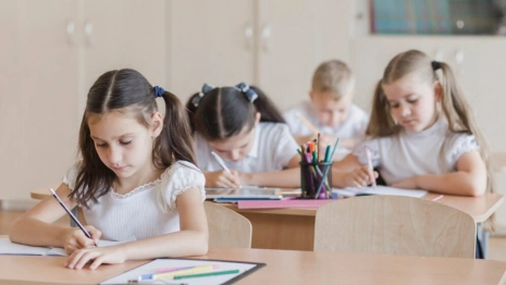 Чиновница отреагировала на жалобы о тараканах в двух владимирских школах