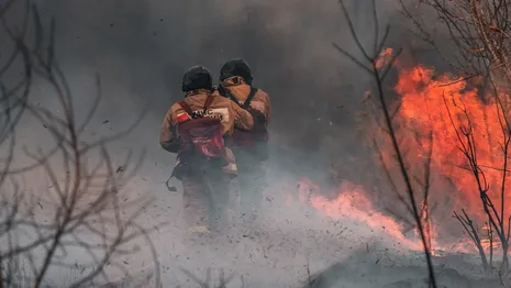 Во Владимирской области за сутки произошли 3 лесных пожара на площади в 10,8 га 