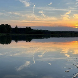 Синоптики пообещали жителям Владимирской области «удивительную» погоду весной и летом
