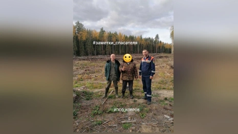 Во Владимирской области заблудившийся грибник сутки провел в лесу