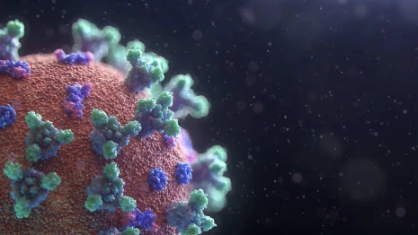 Во Владимирской области подтвердили 84 случая ковида за неделю