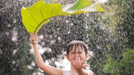 Прогноз погоды во Владимирской области 8 сентября