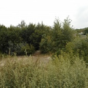 Во Владимире выставили на продажу не достроенный с 2008 года торговый центр