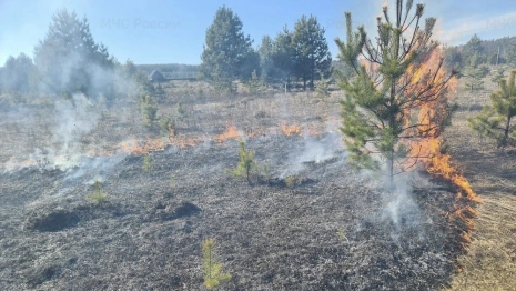Во Владимирской области установился пожароопасный сезон