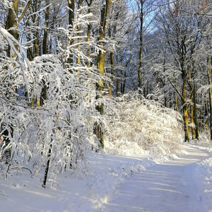 Прогноз погоды во Владимире и области на 3 января