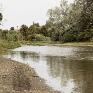 В Камешковском районе водолазы попросили помощи в поисках 34-летнего мужчины