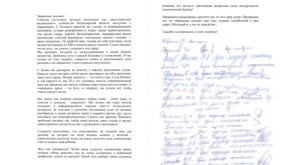 Общественники обвинили владимирские СМИ в травле врачей после гибели рожениц и детей