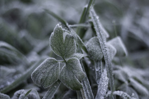 Прогноз погоды во Владимирской области на 3 ноября