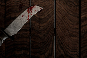 Жительницу Александровского района осудили на 7,5 лет за убийство возлюбленного