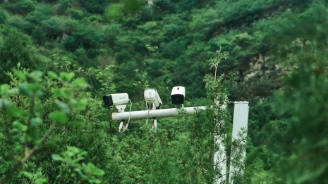 Во Владимире ремонт парка «Добросельский» привел к уголовному делу о подлоге