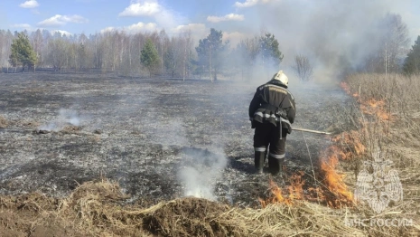 Причиной мощного пожара травы в Суздальском районе стало сжигание мусора