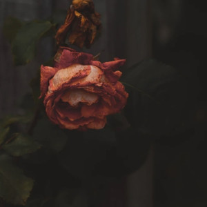 Гибель 5-летнего ребенка и убийства женщин. Какие трагедии потрясли  Владимирскую область в 2022-м