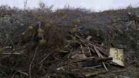 В Коврове содержание громадной свалки обернулось судом