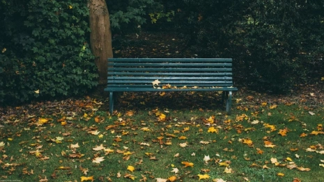 Жителям Владимира предложили выбрать скверы для благоустройства в 2024 году