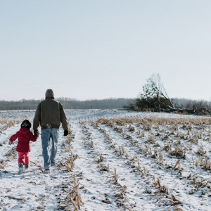 Ковровских чиновников через суд заставили дать землю 6 многодетным 