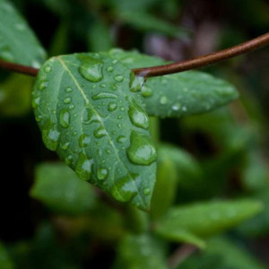 Прогноз погоды во Владимирской области на 20 августа