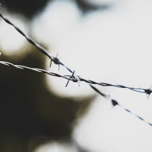 В Коврове с осужденного за взятки экс-сотрудника колонии взыскали ущерб