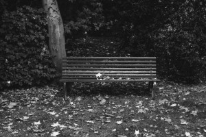 В Центральном парке Владимира у мужчины случился приступ эпилепсии