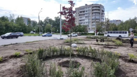 Во Владимире озеленили перекресток проспекта Строителей с улицей Балакирева