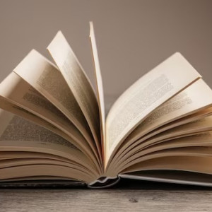 В Москве представили книгу о 20-летних раскопках в Суздале