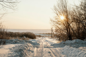 Во Владимирскую область придет потепление до +1