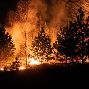 Жителям Владимирской области рассказали о 3 новых лесных пожарах