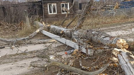 Спасать оставшиеся без света районы Владимирской области отправили 42 бригады энергетиков